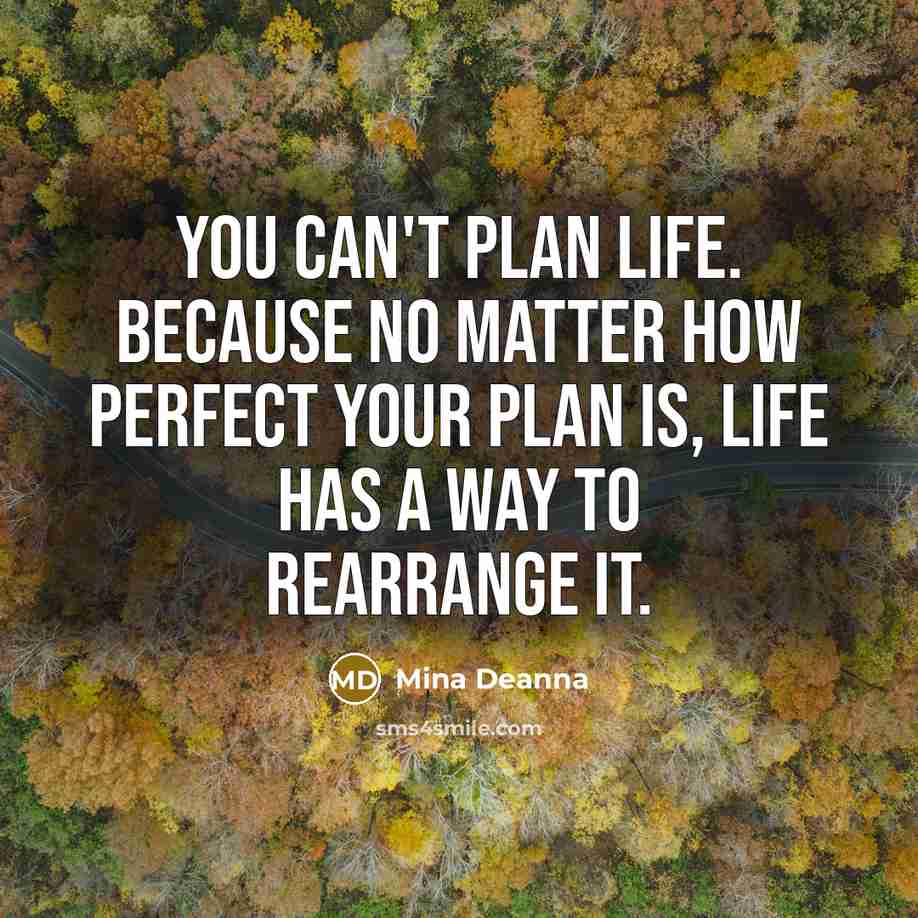 “You can't plan life. Because no matter how perfect your…” quote by Mina Deanna