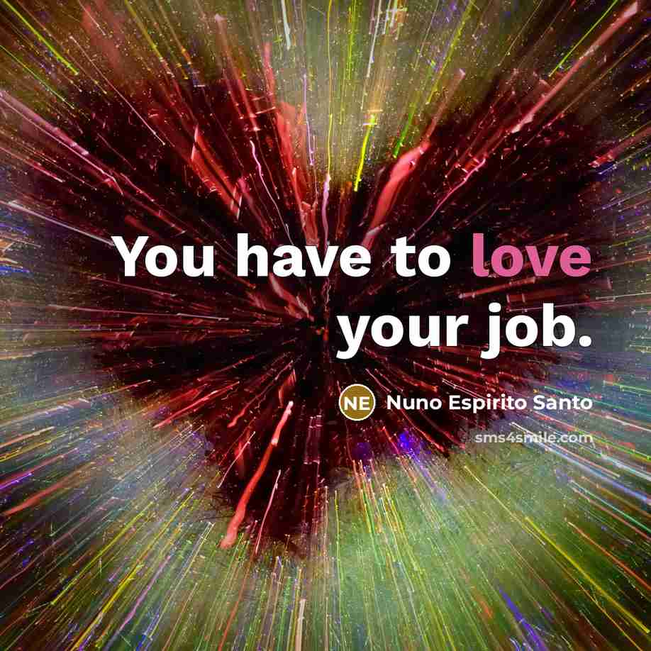 “You have to love your job.…” quote by Nuno Espirito Santo