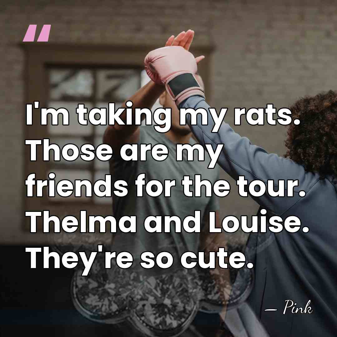 I'm taking my rats. Those are my friends for the tour. Thelma&hellip; - Pink
