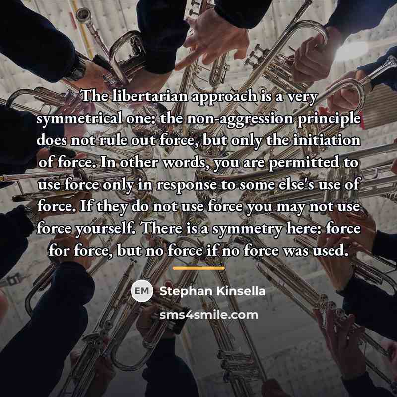 “The libertarian approach is a very symmetrical one: the non-aggression…” quote by Stephan Kinsella