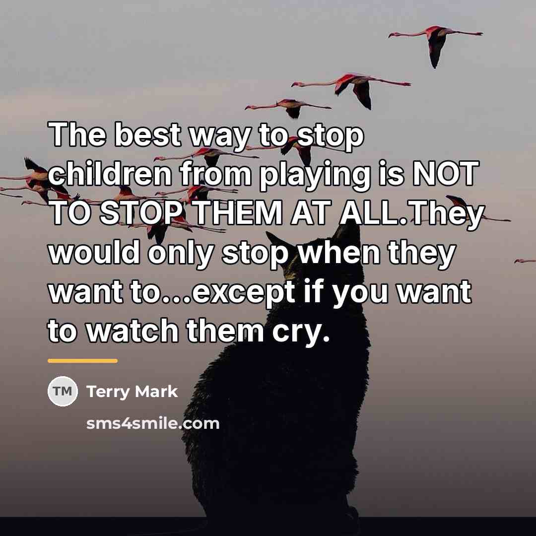 “The best way to stop children from playing is NOT…” quote by Terry Mark