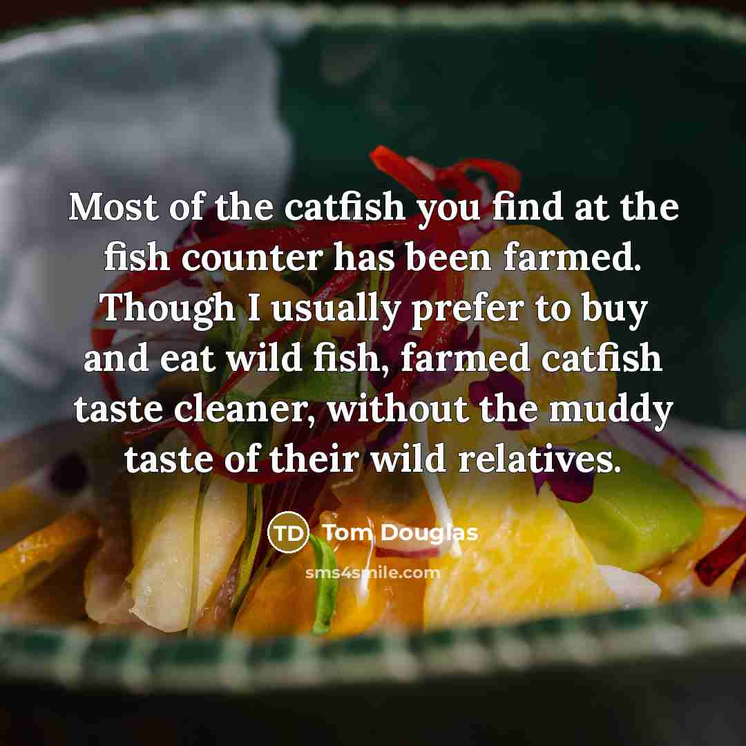 “Most of the catfish you find at the fish counter…” quote by Tom Douglas