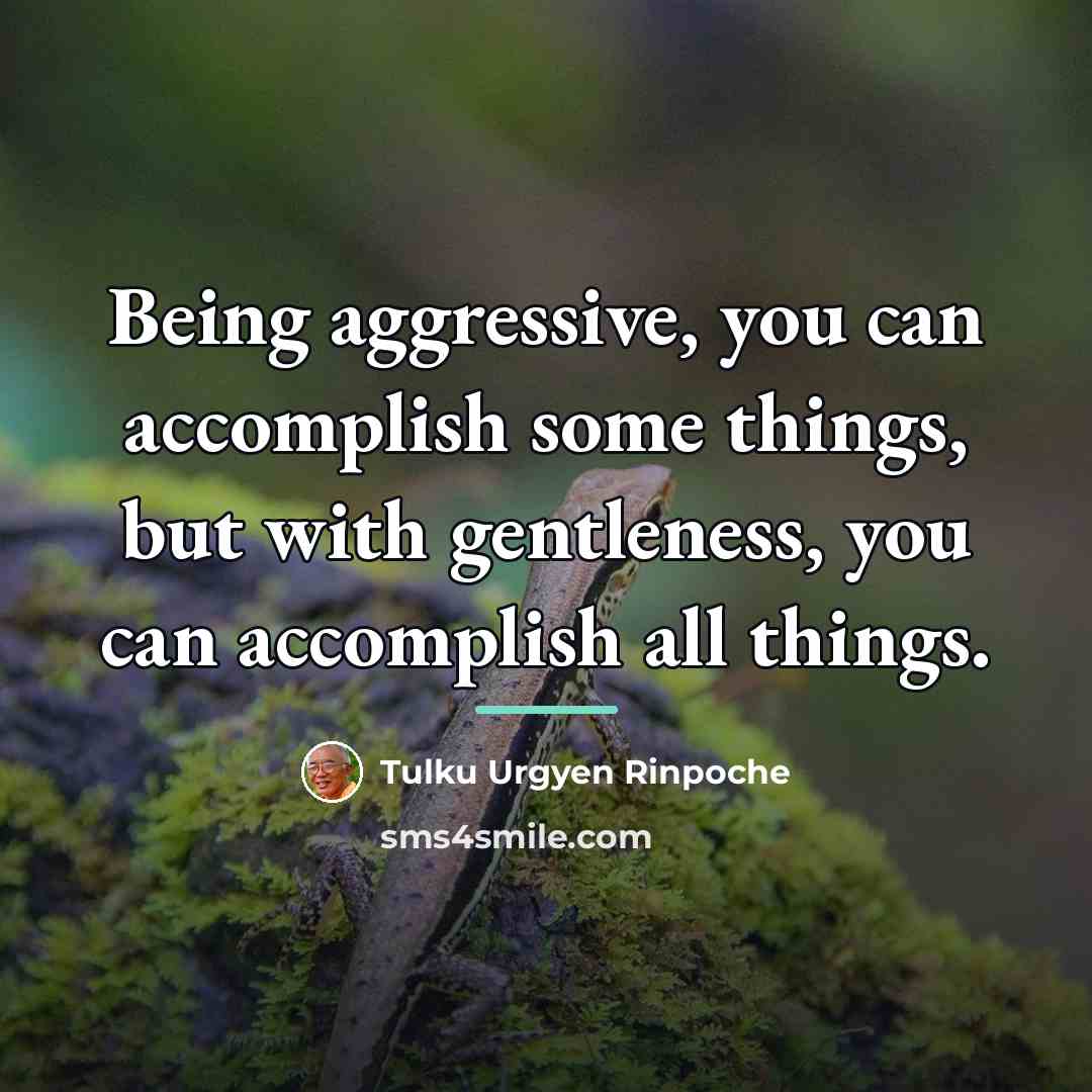 “Being aggressive, you can accomplish some things, but with gentleness,…” quote by Tulku Urgyen Rinpoche
