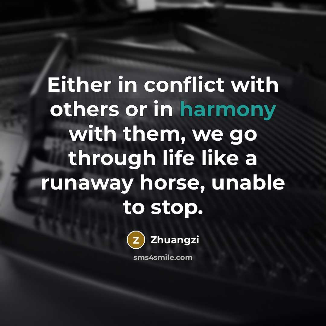“Either in conflict with others or in harmony with them,…” quote by Zhuangzi