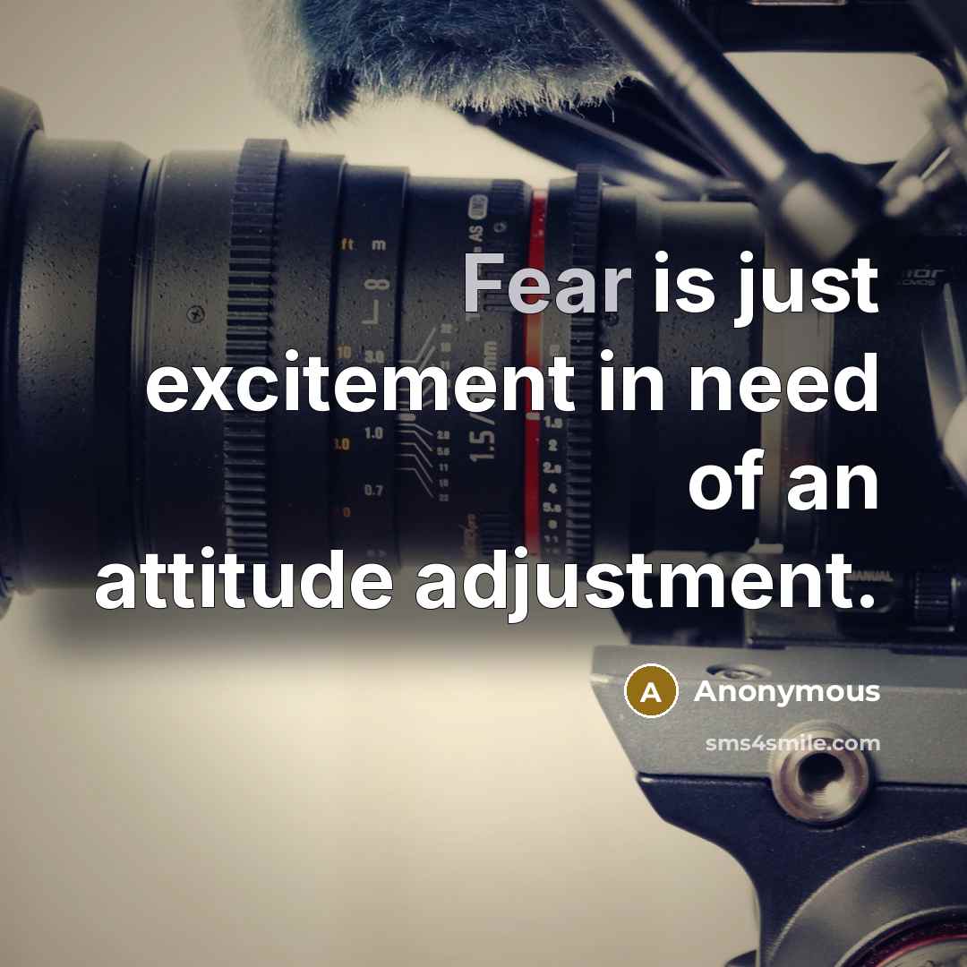 “Fear is just excitement in need of an attitude adjustment.…” quote by Anonymous