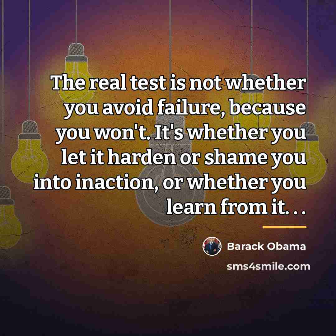 “The real test is not whether you avoid failure, because…” quote by Barack Obama