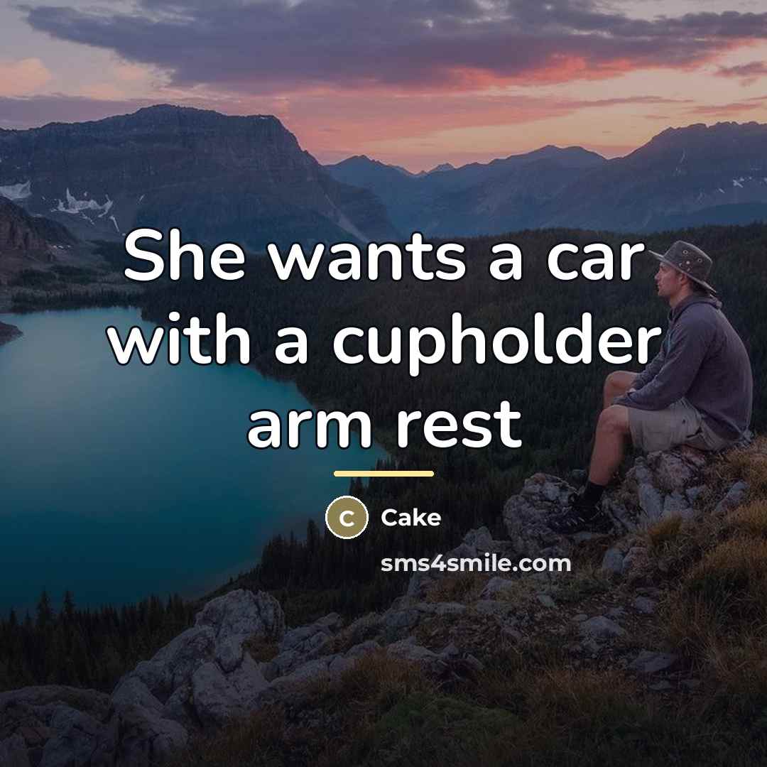 “She wants a car with a cupholder arm rest…” quote by Cake