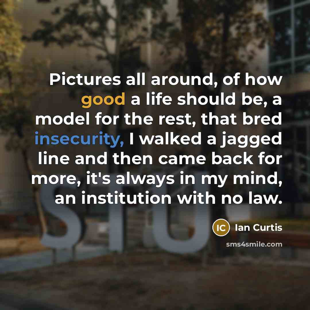 “Pictures all around, of how good a life should be,…” quote by Ian Curtis