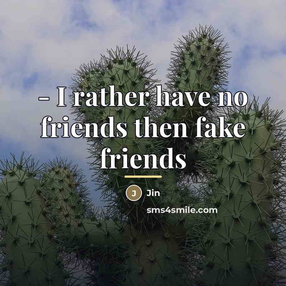 “- I rather have no friends then fake friends…” quote by Jin