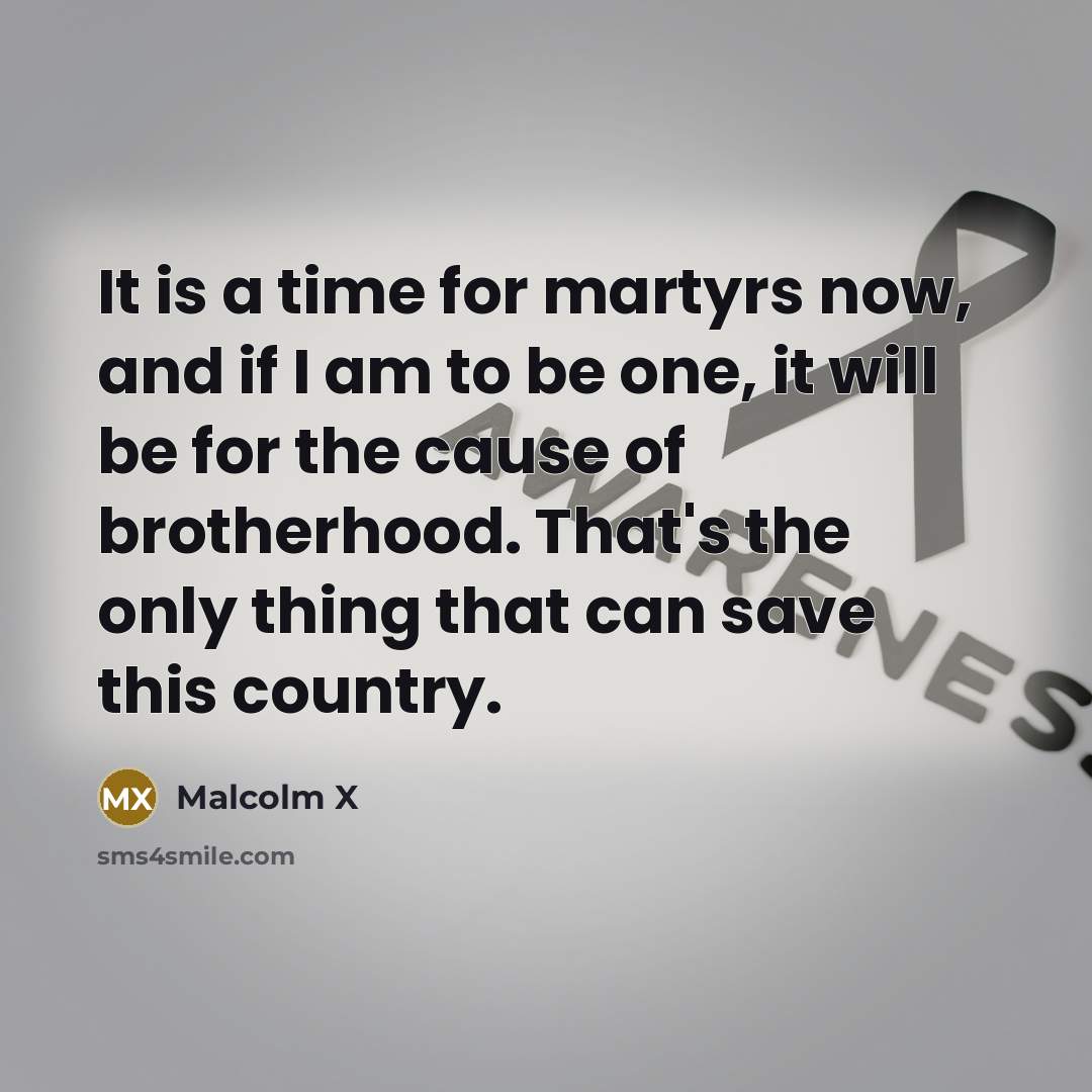 “It is a time for martyrs now, and if I…” quote by Malcolm X