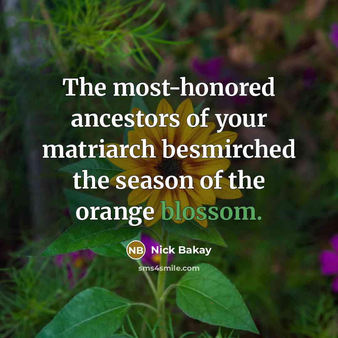 “The most-honored ancestors of your matriarch besmirched the season of the orange blossom.” quote by Nick Bakay