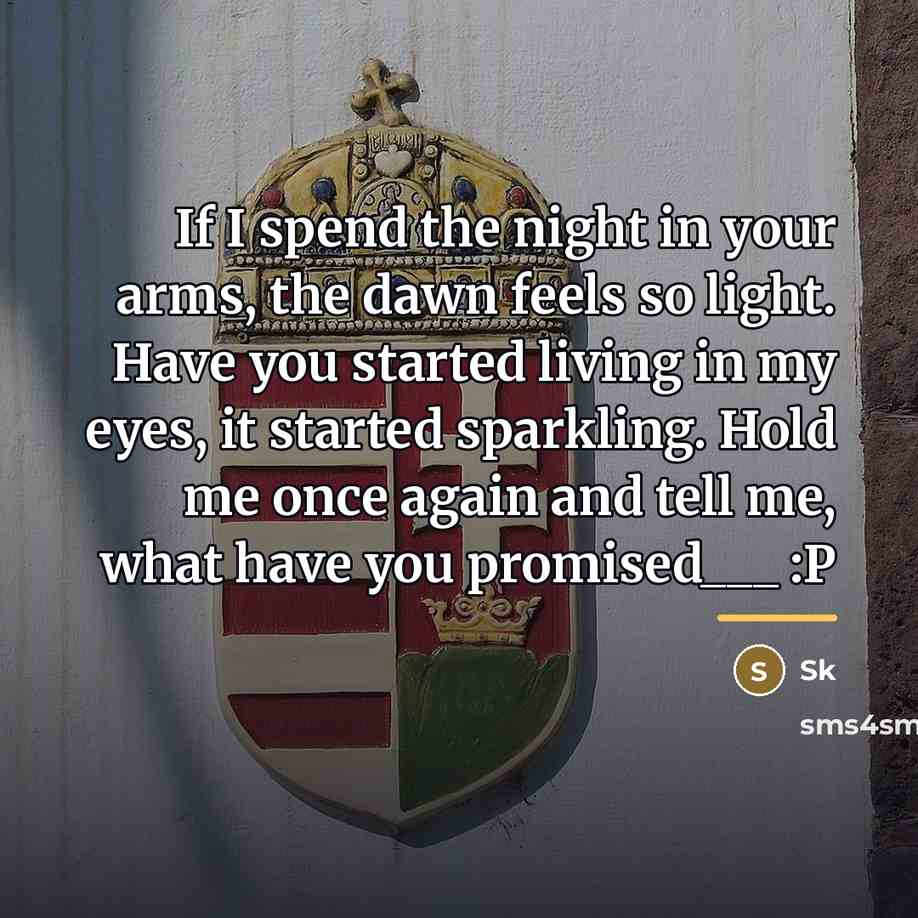 “If I spend the night in your arms, the dawn…” quote by SK