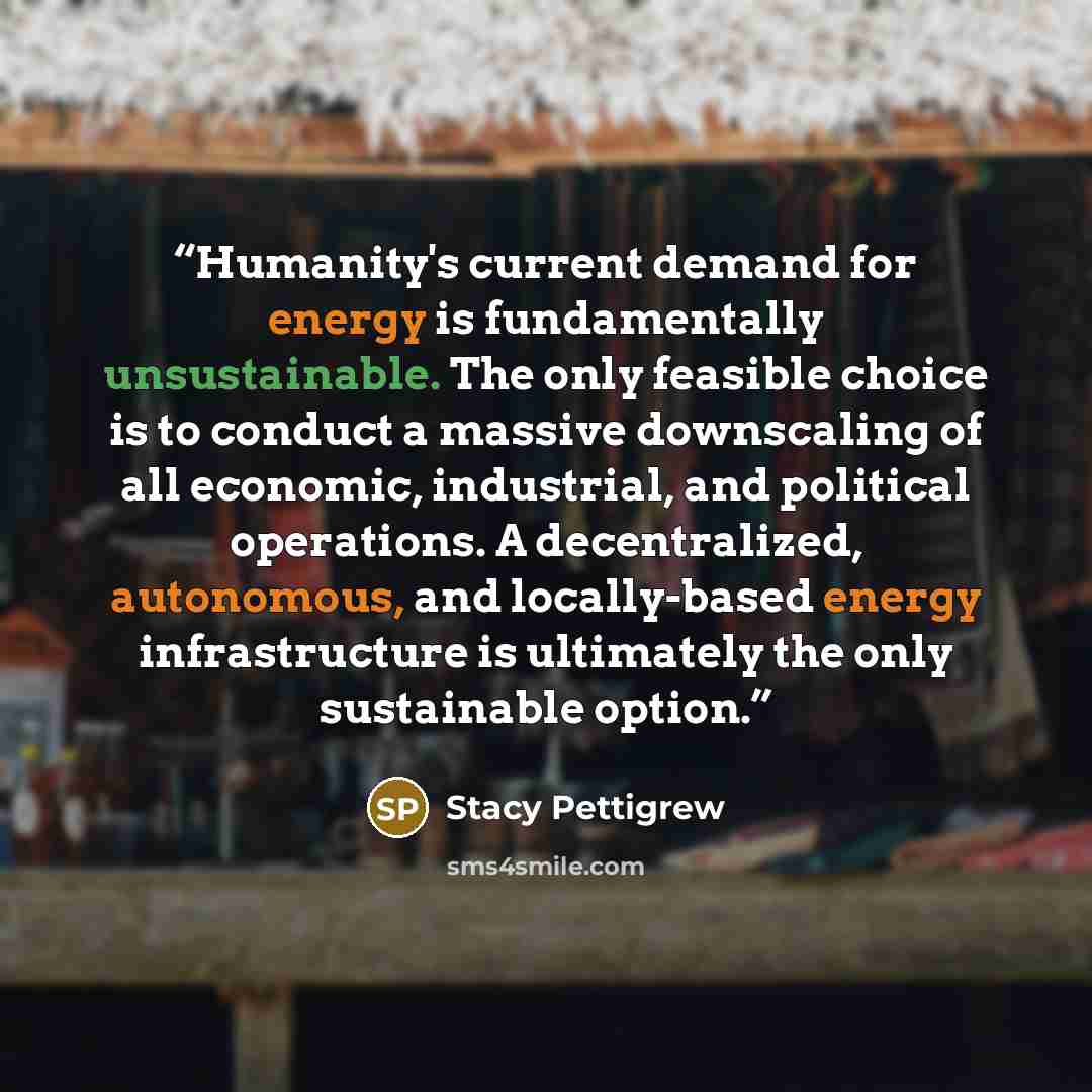 “Humanity's current demand for energy is fundamentally unsustainable. The only feasible choice is to conduct a massive downscaling of all economic, industrial, and political operations. A decentralized, autonomous, and locally-based energy infrastructure is ultimately the only sustainable option.” quote by Stacy Pettigrew