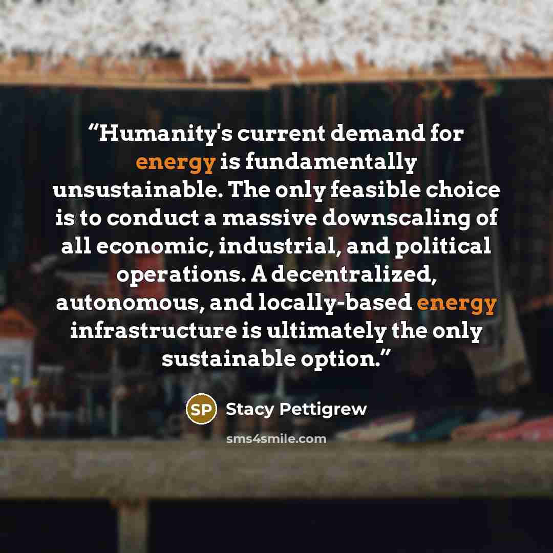 “Humanity's current demand for energy is fundamentally unsustainable. The only feasible choice is to conduct a massive downscaling of all economic, industrial, and political operations. A decentralized, autonomous, and locally-based energy infrastructure is ultimately the only sustainable option.” quote by Stacy Pettigrew