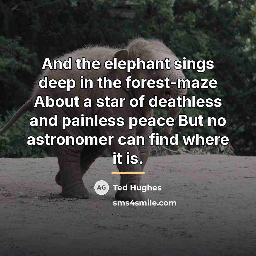 “And the elephant sings deep in the forest-maze About a…” quote by Ted Hughes