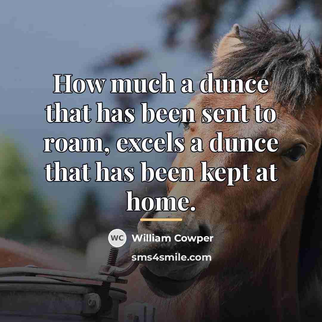 “How much a dunce that has been sent to roam,…” quote by William Cowper