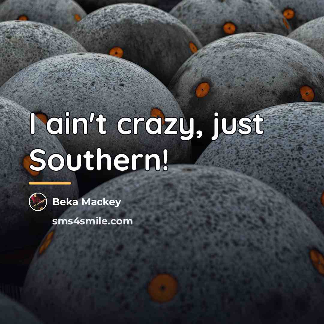 “I ain't crazy, just Southern!…” quote by Beka Mackey