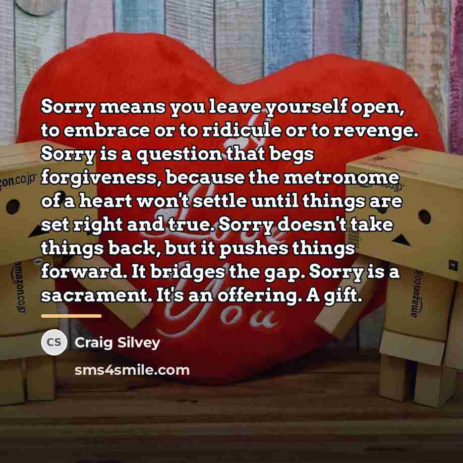 “Sorry means you leave yourself open, to embrace or to…” quote by Craig Silvey