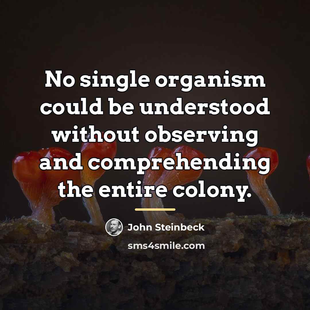 “No single organism could be understood without observing and comprehending…” quote by John Steinbeck