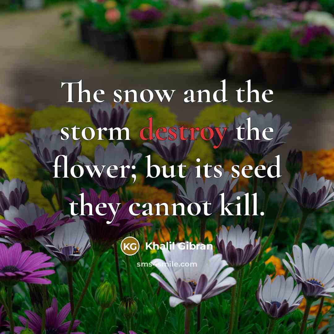 “The snow and the storm destroy the flower; but its…” quote by Khalil Gibran
