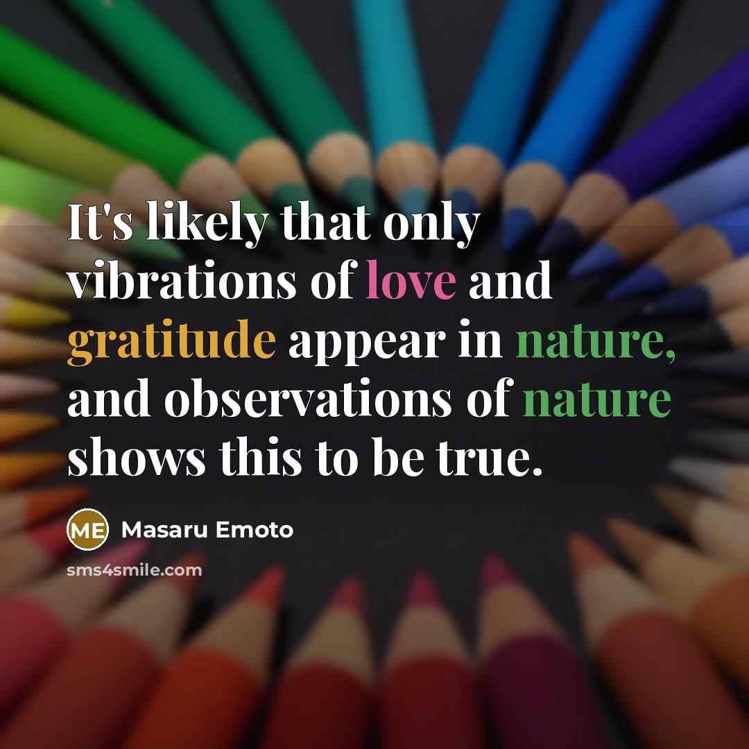 “It's likely that only vibrations of love and gratitude appear…” quote by Masaru Emoto