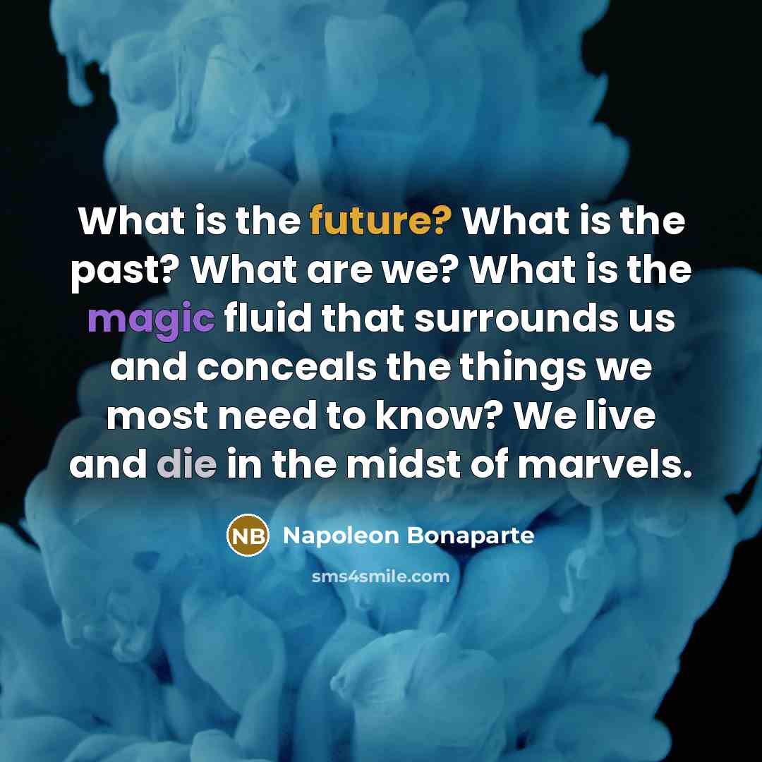 “What is the future? What is the past? What are…” quote by Napoleon Bonaparte