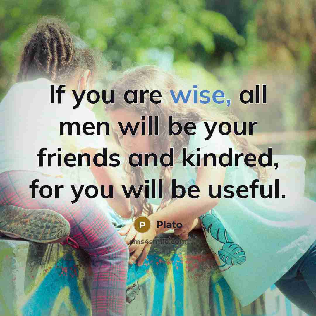“If you are wise, all men will be your friends…” quote by Plato