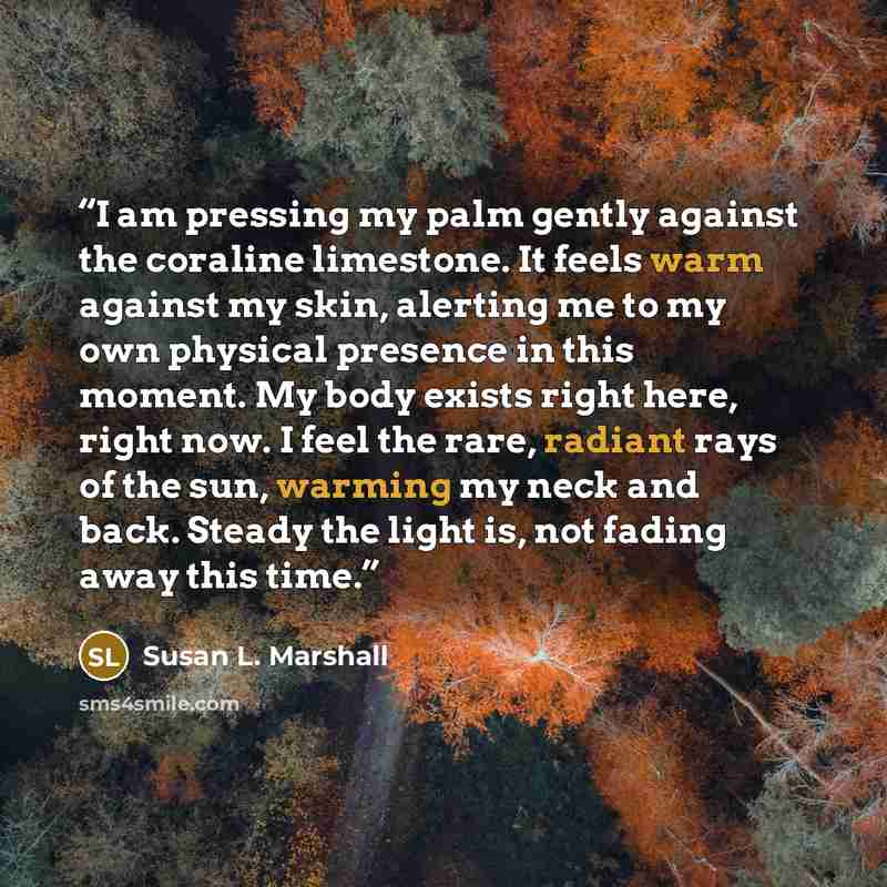 “I am pressing my palm gently against the coraline limestone. It feels warm against my skin, alerting me to my own physical presence in this moment. My body exists right here, right now. I feel the rare, radiant rays of the sun, warming my neck and back. Steady the light is, not fading away this…” quote by Susan L. Marshall