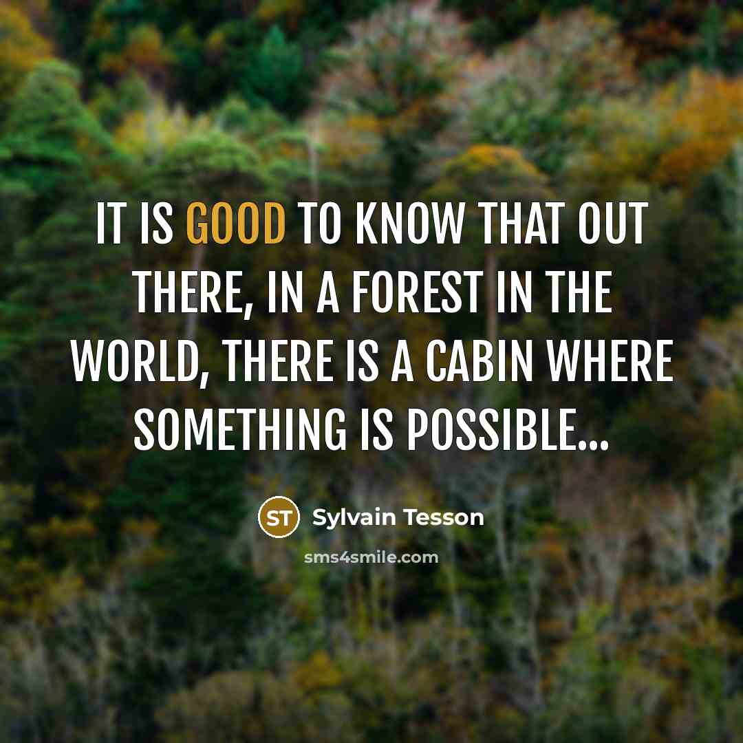 “It is good to know that out there, in a…” quote by Sylvain Tesson