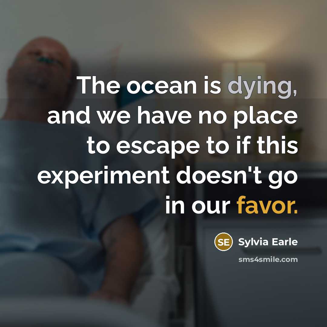 “The ocean is dying, and we have no place to…” quote by Sylvia Earle