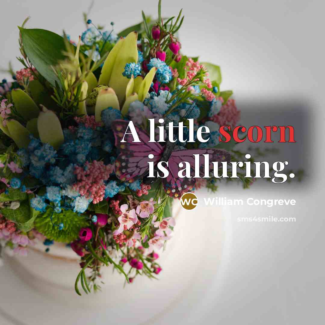 “A little scorn is alluring.” quote by William Congreve