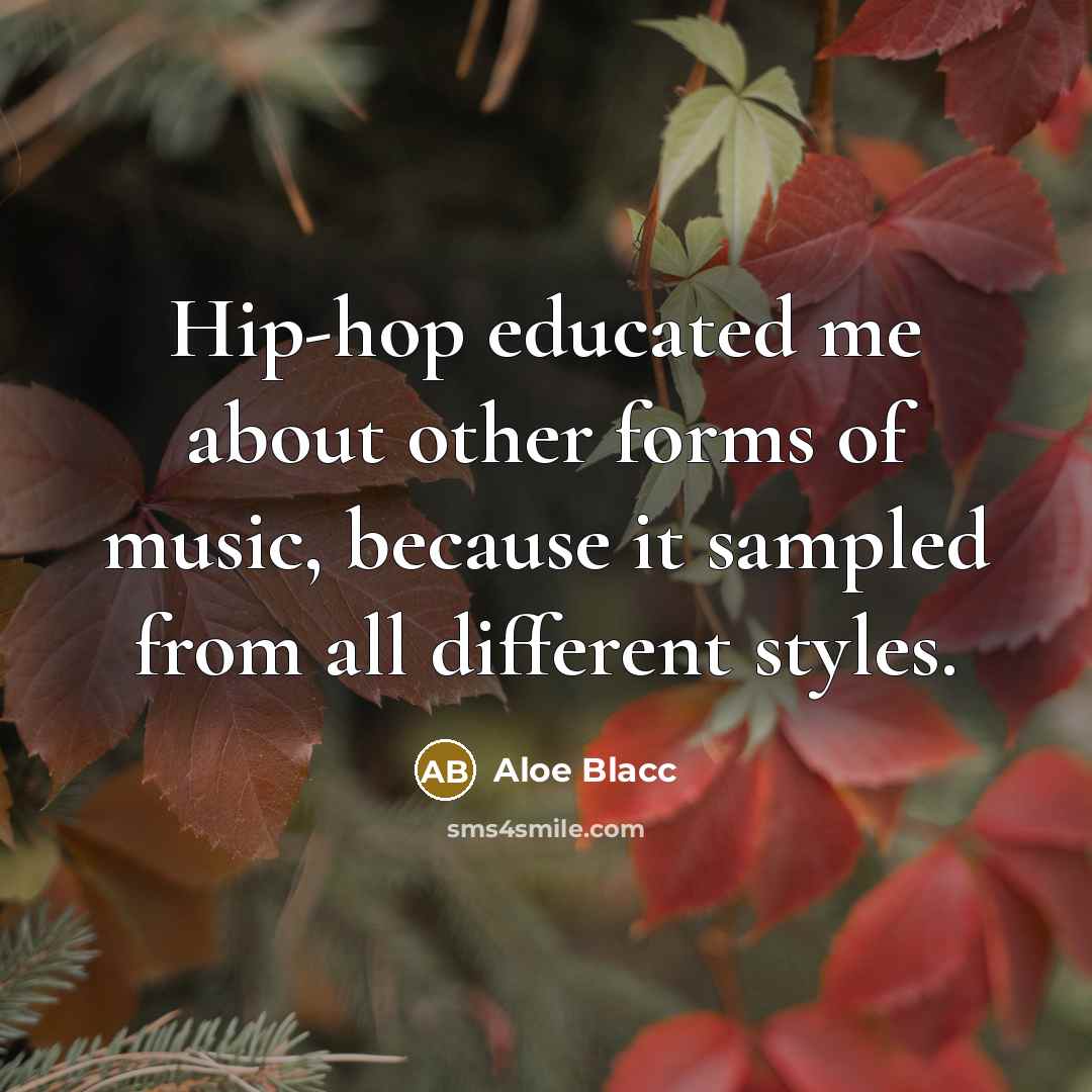 “Hip-hop educated me about other forms of music, because it…” quote by Aloe Blacc