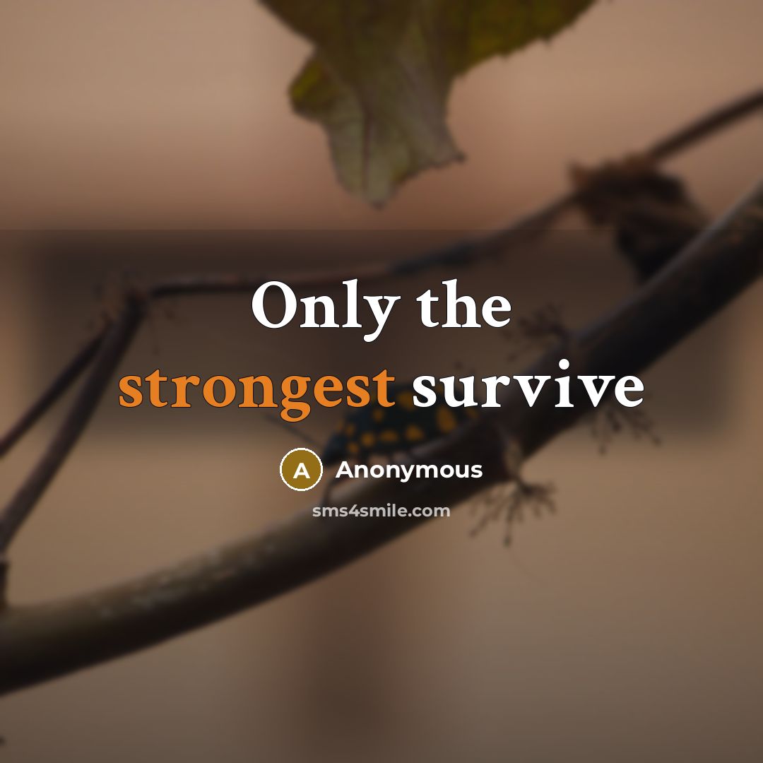 “Only the strongest survive” quote by Anonymous