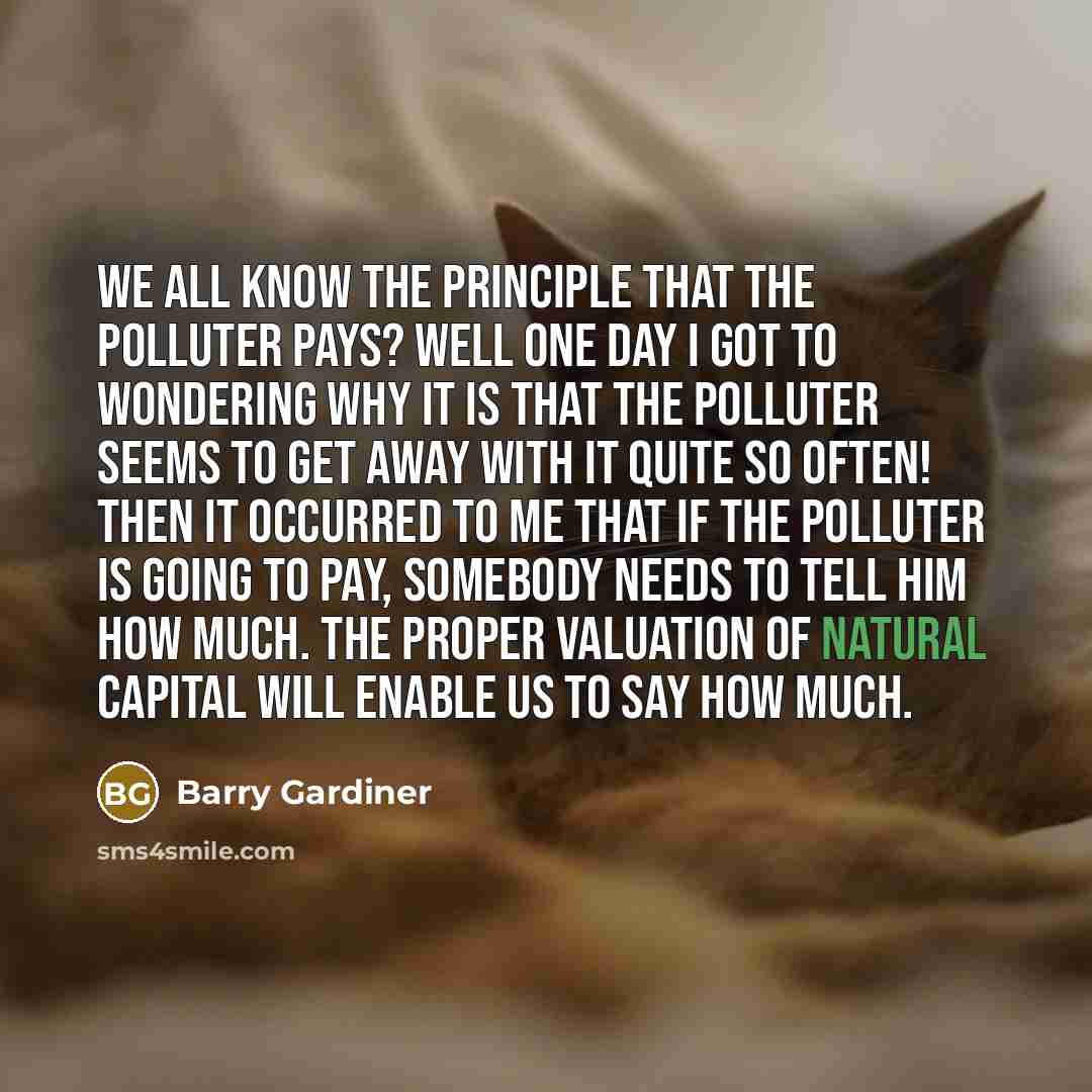 “We all know the principle that the polluter pays? Well…” quote by Barry Gardiner