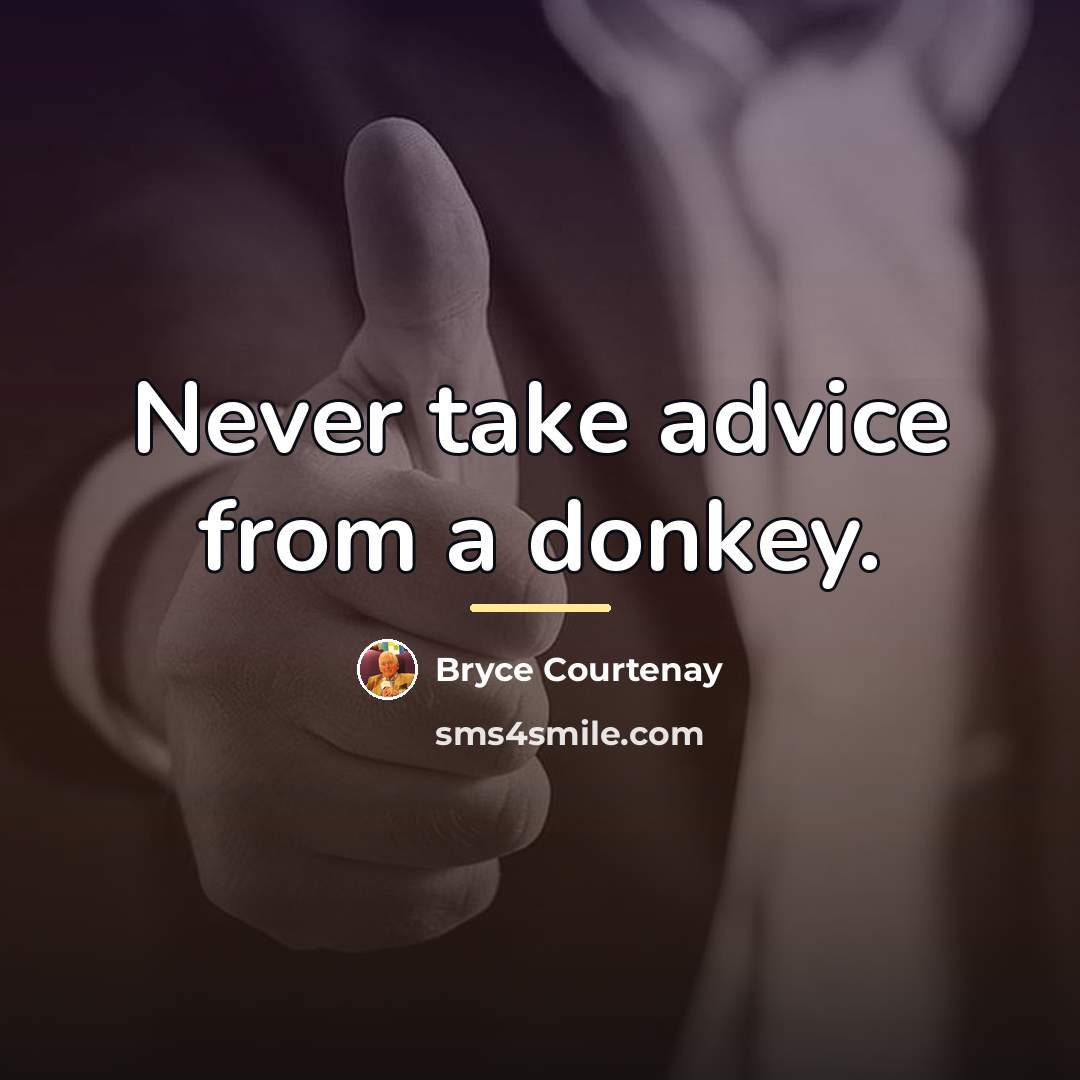 “Never take advice from a donkey.…” quote by Bryce Courtenay