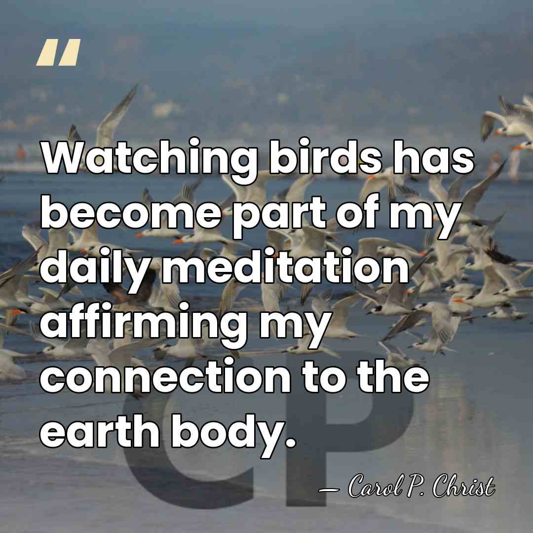 Watching birds has become part of my daily meditation affirming my connection&hellip; - Carol P. Christ