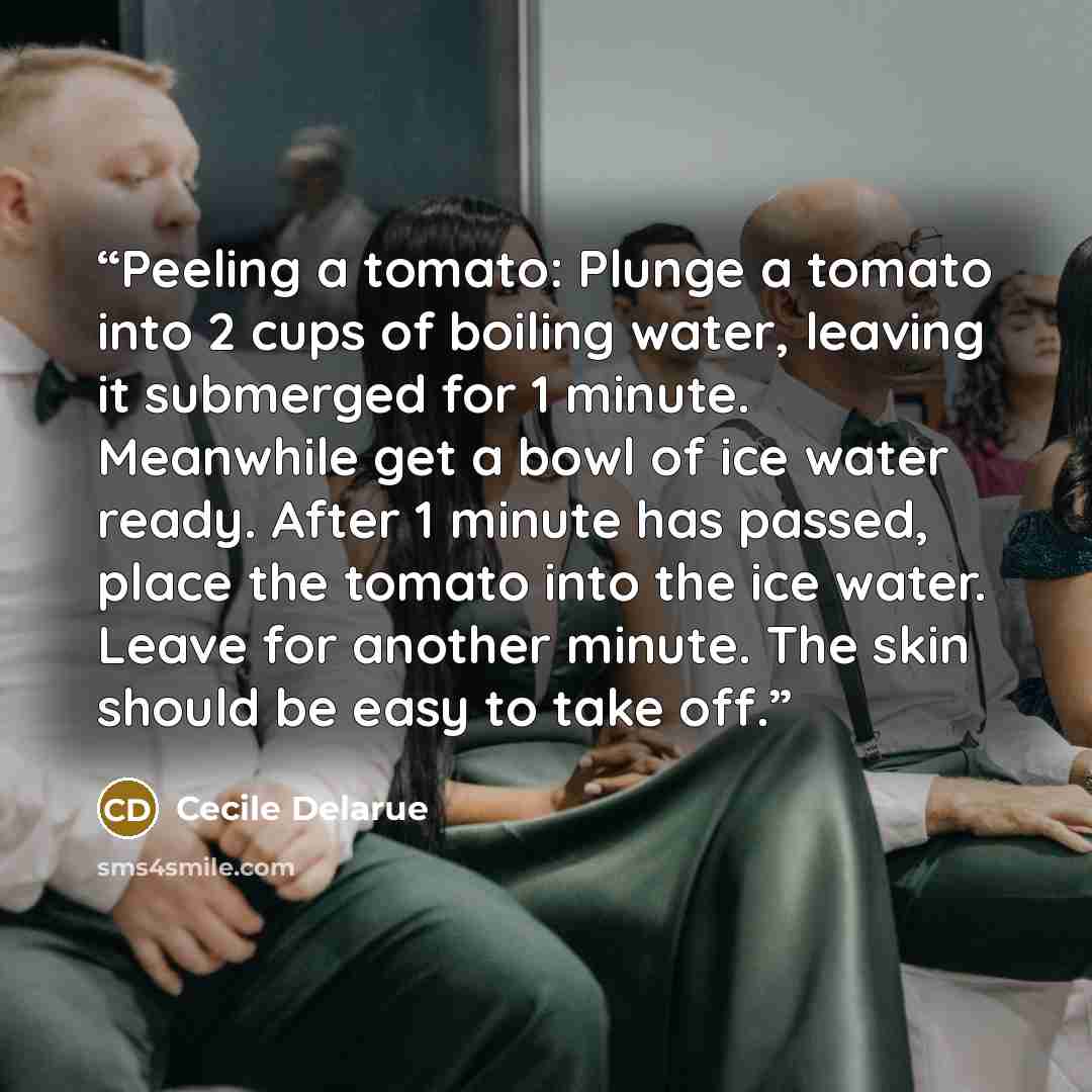 “Peeling a tomato: Plunge a tomato into 2 cups of boiling water, leaving it submerged for 1 minute. Meanwhile get a bowl of ice water ready. After 1 minute has passed, place the tomato into the ice water. Leave for another minute. The skin should be easy to take off.” quote by Cecile Delarue