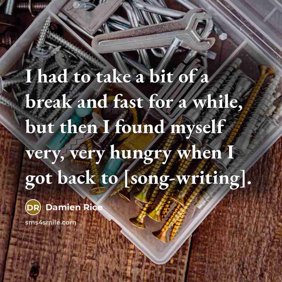 “I had to take a bit of a break and…” quote by Damien Rice