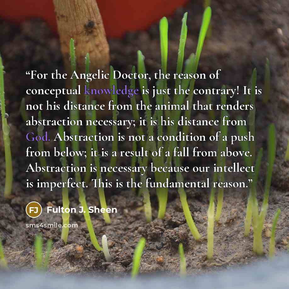 “For the Angelic Doctor, the reason of conceptual knowledge is just the contrary! It is not his distance from the animal that renders abstraction necessary; it is his distance from God. Abstraction is not a condition of a push from below; it is a result of a fall from above. Abstraction is…” quote by Fulton J. Sheen