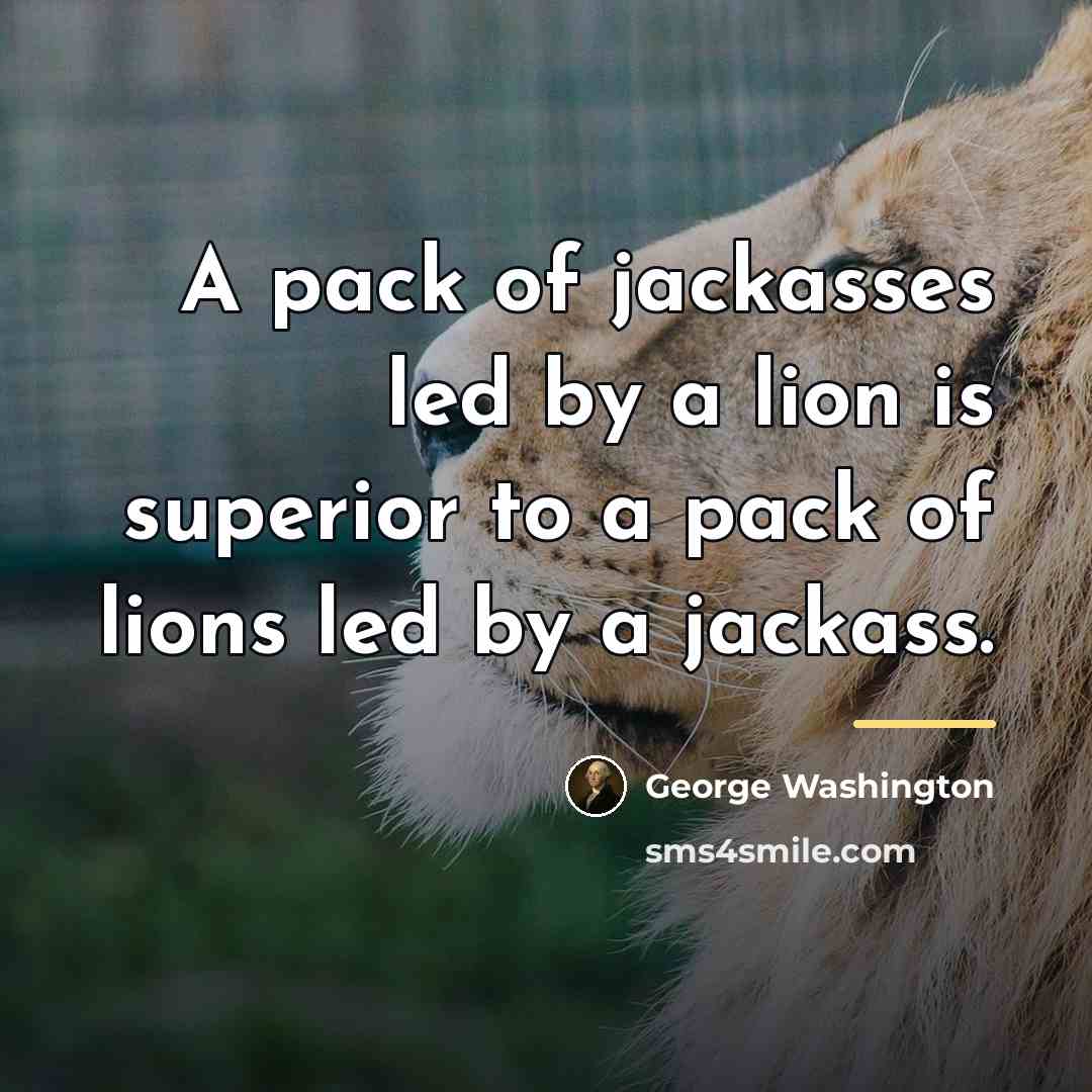 “A pack of jackasses led by a lion is superior…” quote by George Washington