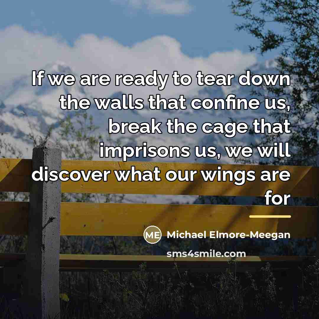 “If we are ready to tear down the walls that…” quote by Michael Elmore-Meegan