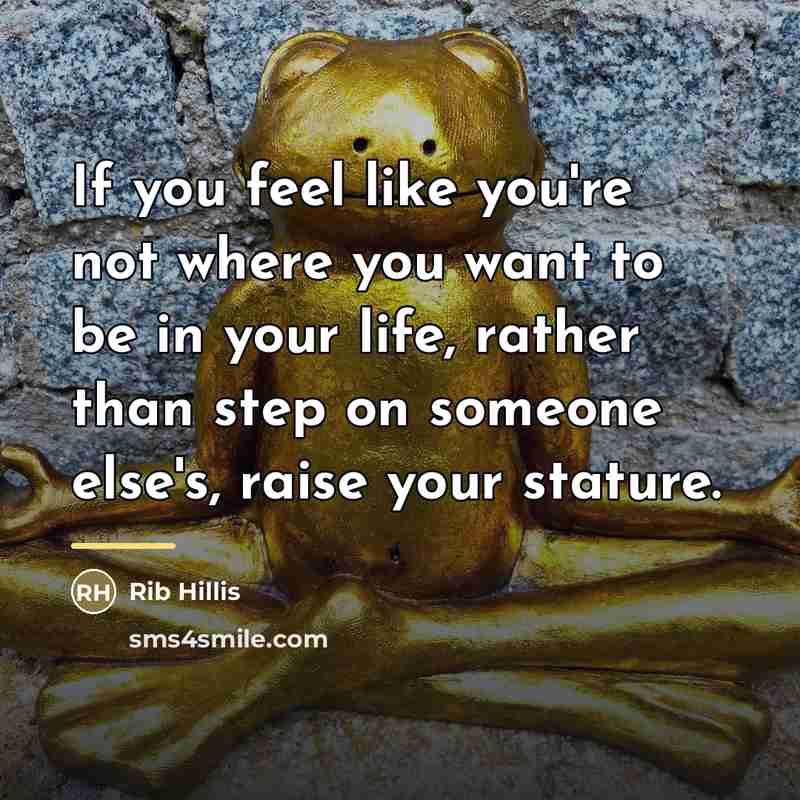 “If you feel like you're not where you want to…” quote by Rib Hillis