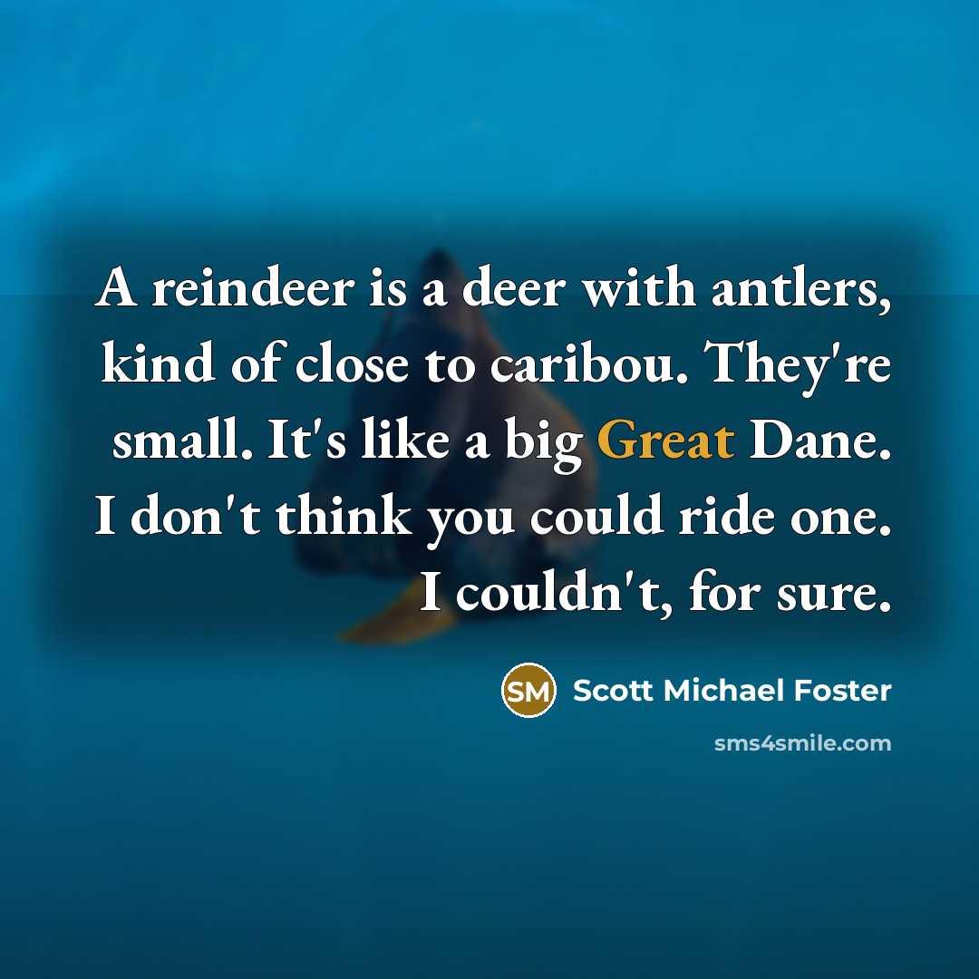 “A reindeer is a deer with antlers, kind of close…” quote by Scott Michael Foster