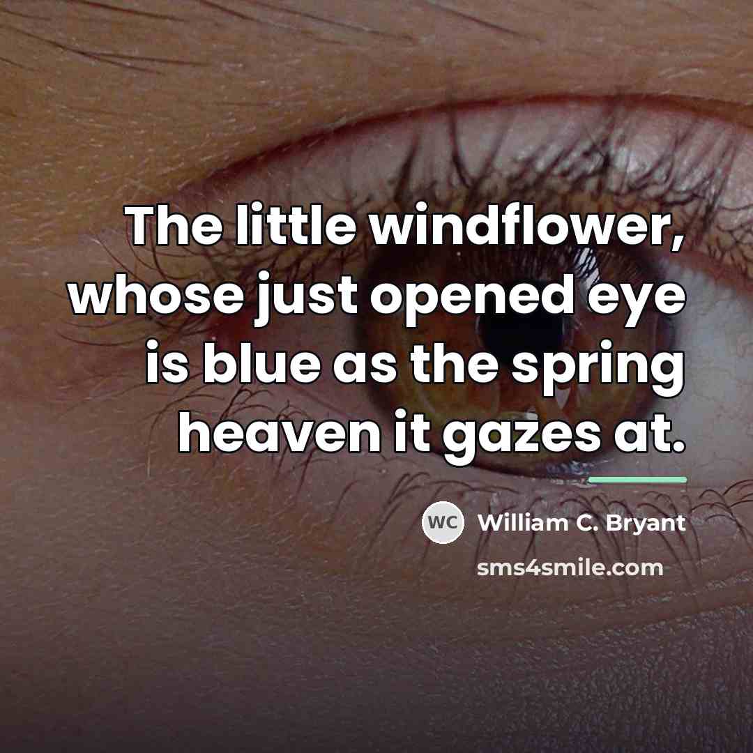 “The little windflower, whose just opened eye is blue as…” quote by William C. Bryant