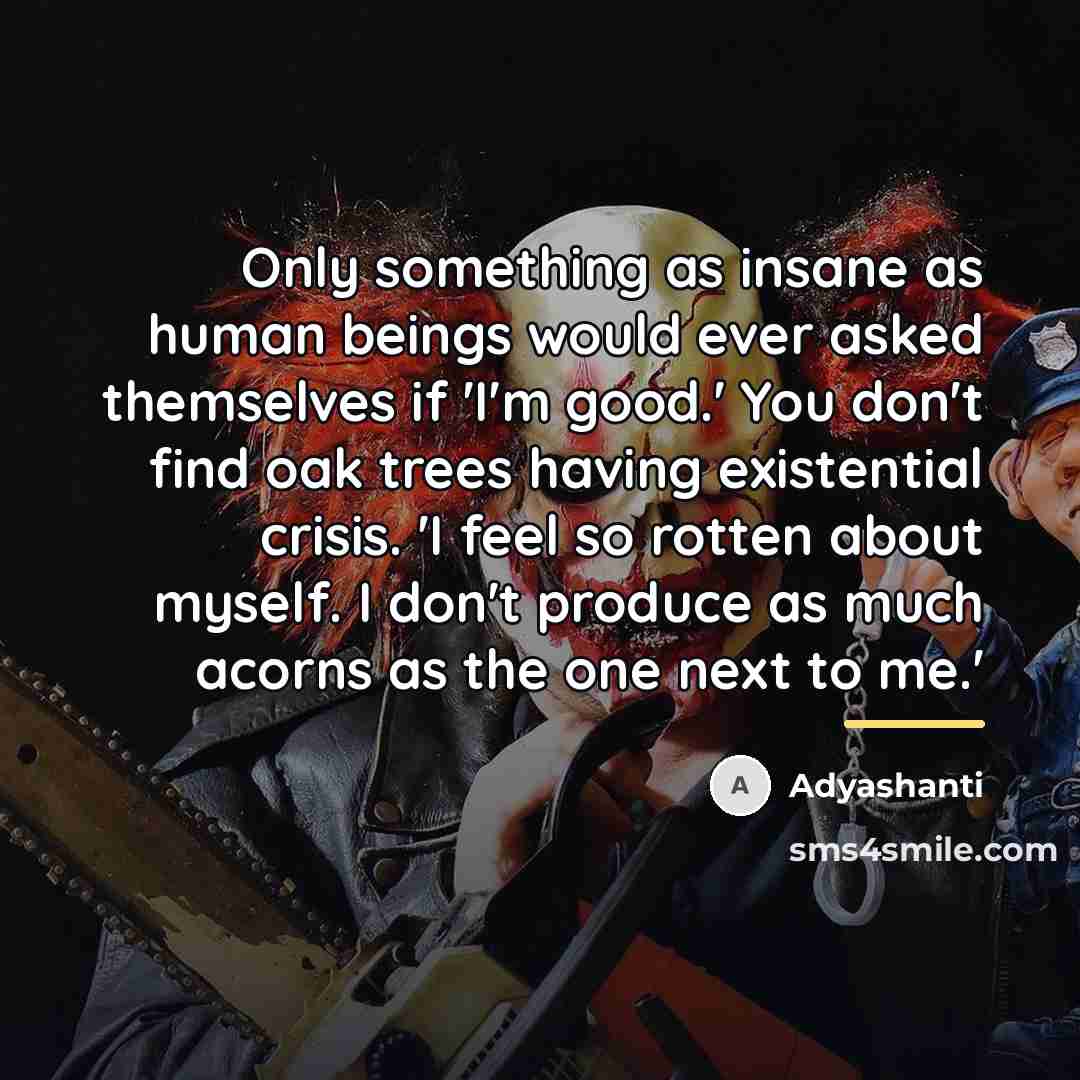 “Only something as insane as human beings would ever asked…” quote by Adyashanti