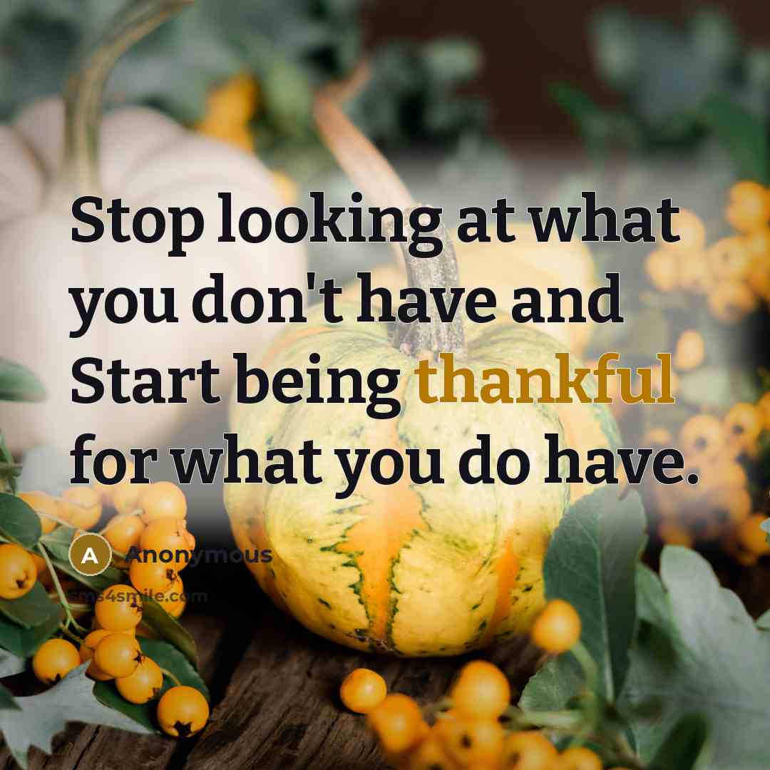 “Stop looking at what you don't have and Start being…” quote by Anonymous