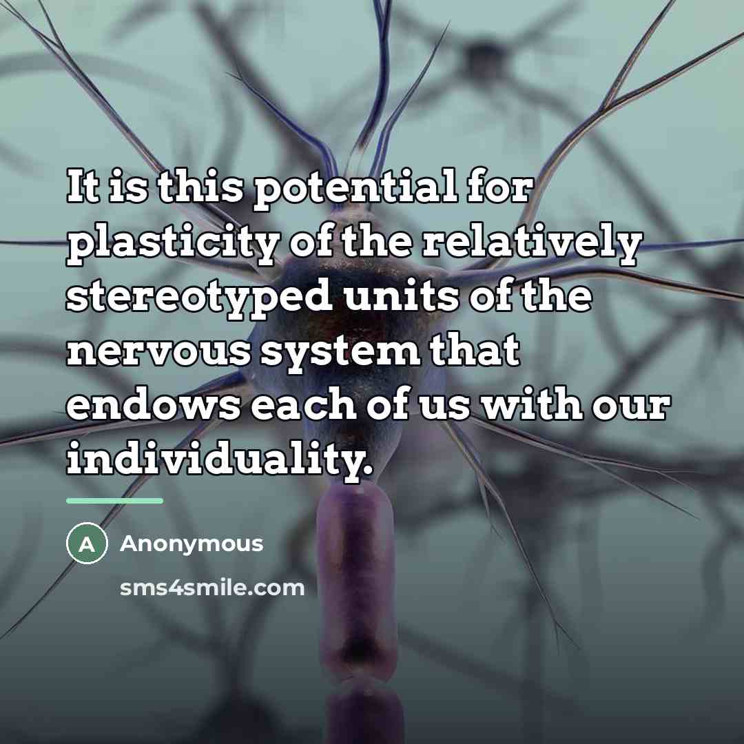“It is this potential for plasticity of the relatively stereotyped…” quote by Anonymous