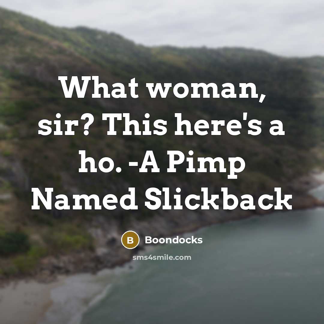 “What woman, sir? This here's a ho. -A Pimp Named…” quote by Boondocks