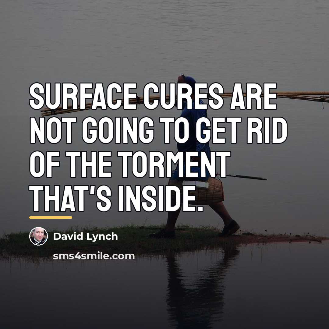 “Surface cures are not going to get rid of the…” quote by David Lynch