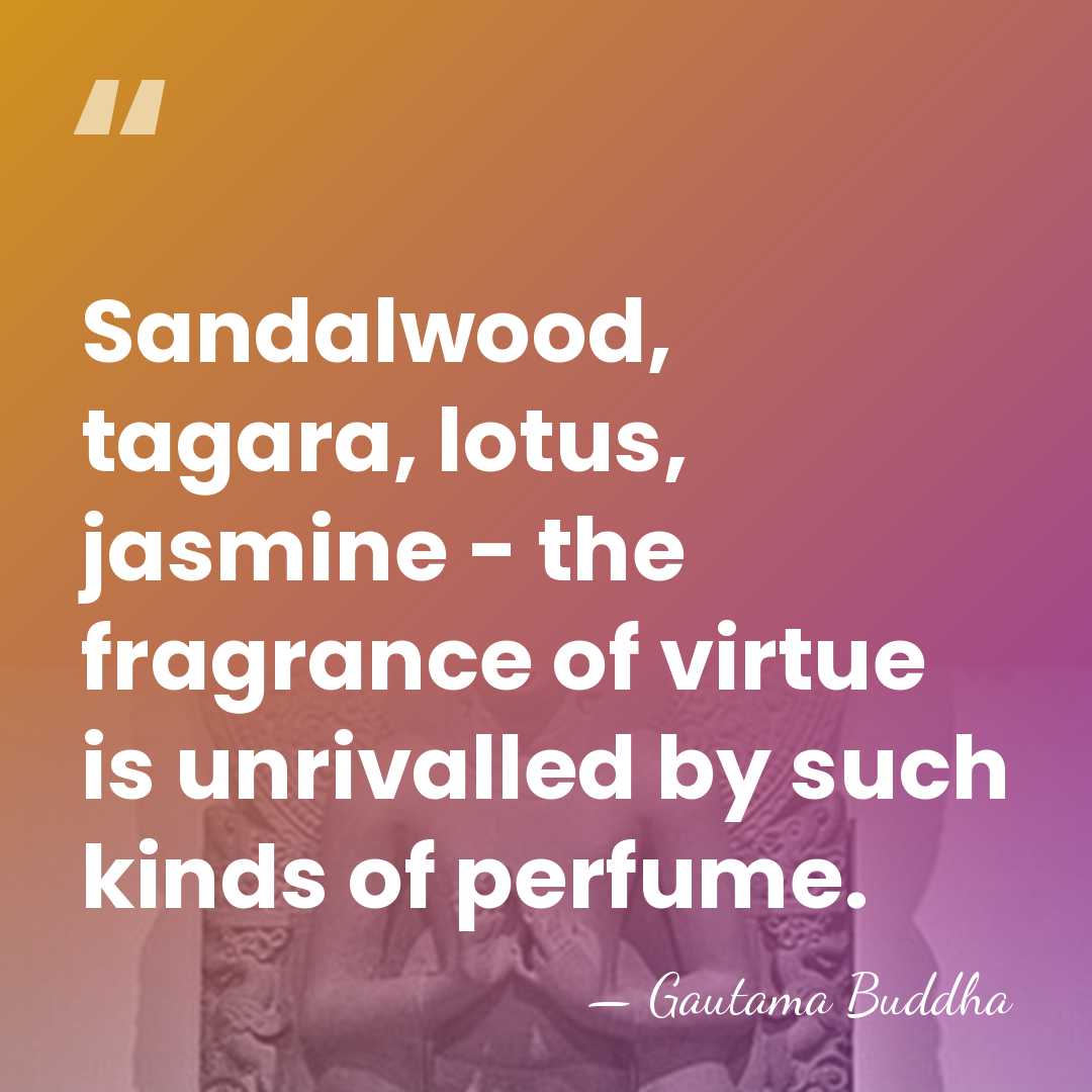 Sandalwood, tagara, lotus, jasmine - the fragrance of virtue is unrivalled by&hellip; - Gautama Buddha